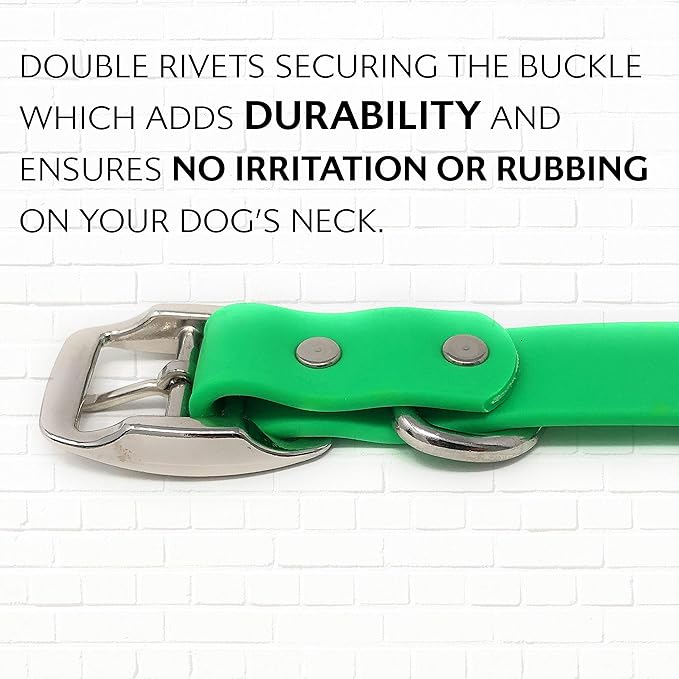 Regal Dog Products Large Light Green with Custom Engraved Waterproof Dog Collar and Leash Set | Waterproof Dog Collar with Double Buckle & D Ring - 5'ft Leash | Matching Dog Collar and Leash for Dogs