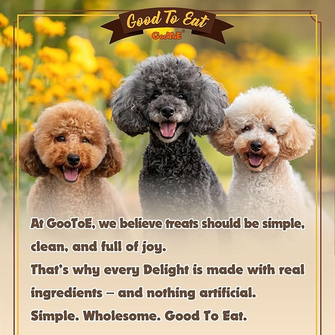 Gootoe Turkey Tendon Dog Treats – 100% USA-Sourced, Natural Snack, Premium Training Chews, Hypoallergenic, Reseal Value Bags, Size for Medium & Small Dogs, Braid (Medium) 3.17 oz/Pack (90gm)