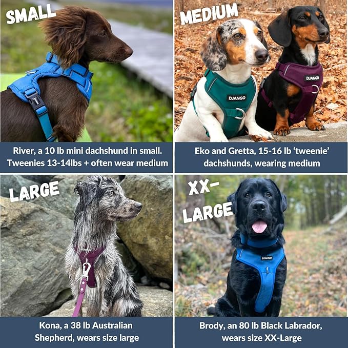 DJANGO Tahoe No Pull Dog Harness – Escape-Proof Dog Harness for Medium & Large Dogs with Front & Back Clips for Everyday Use – Adjustable, Padded, Reflective, Secure, Easy On/Off – Sandy Beige, Large