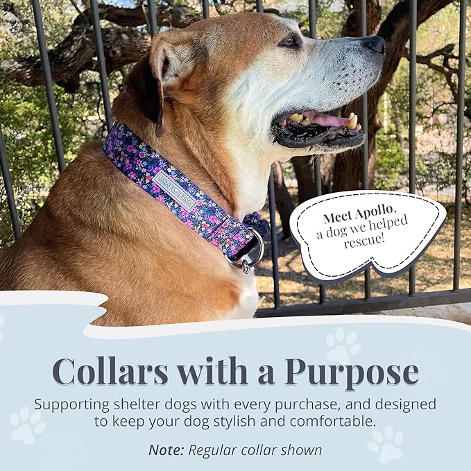 Lucky Love Dog Wide Martingale Dog Collar - No-Slip, Durable, & Soft Webbing 1.5 inch Martingale Collar for Dogs Male and Female Ideal for Training & Walking - Primrose, X-Large