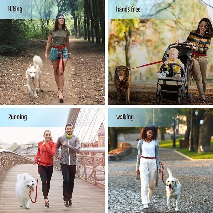 The Buddy System Hands Free Dog Leash, Adjustable Leash for Running, Jogging, Training and Service Dogs, Great for Small, Medium and Large Dogs, Made in USA (Red, Large Belt (27"- 50" Waist))