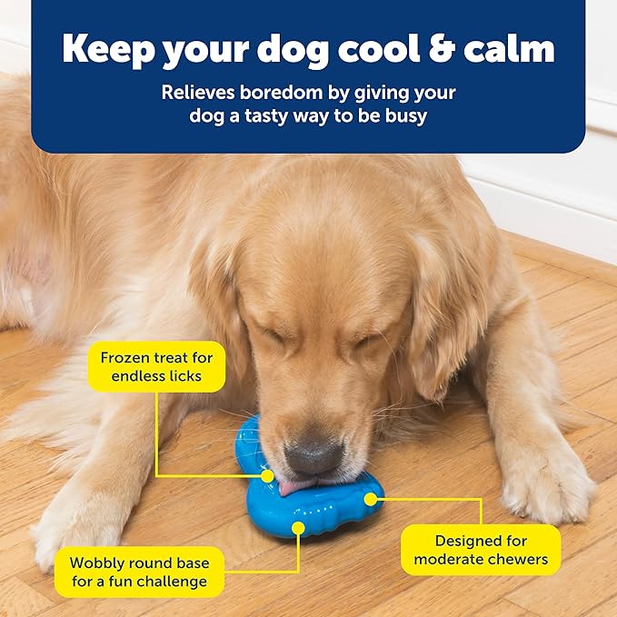 PetSafe Freezable Treat Holding Chilly Penguin - Durable,Vanilla-Scented,Rubber,Freezable Interactive Pet Puzzle for Boredom or Separation Anxiety - for Small Dogs,(Pack of 2)