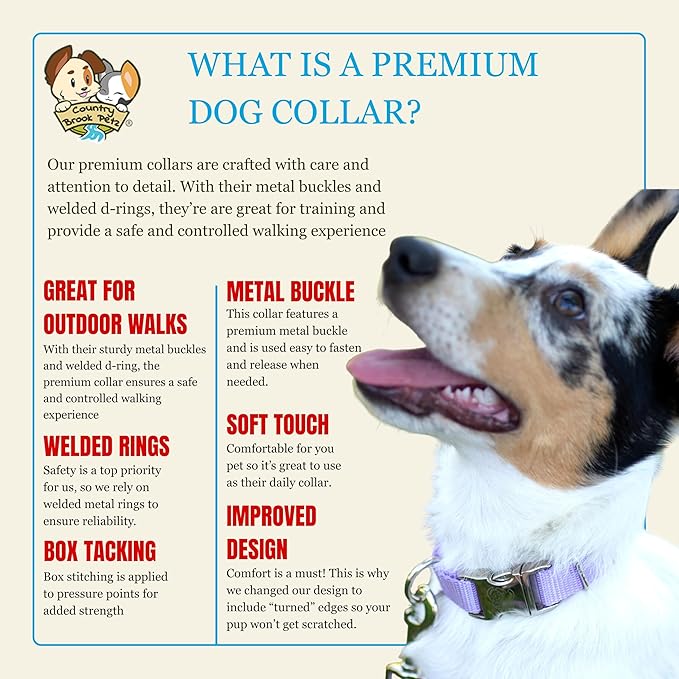 Country Brook Petz - Premium Nylon Dog Collar with Metal Buckle for Small Medium Large Breeds - 10+ Cool Colors (Extra Large, 1 Inch, Light Cyan)