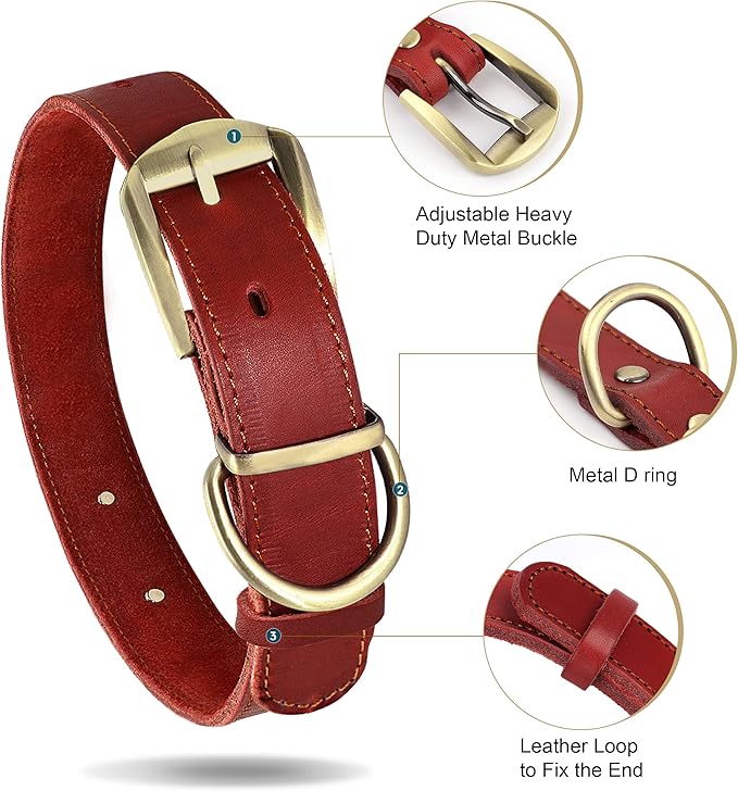 Didog Genuine Leather Dog Collars with Engraved Nameplate, Personalized Soft Leather Dog Collar with Custom ID Tag, Brown/Green/Red for Medium Large Dogs (XXL,Red)