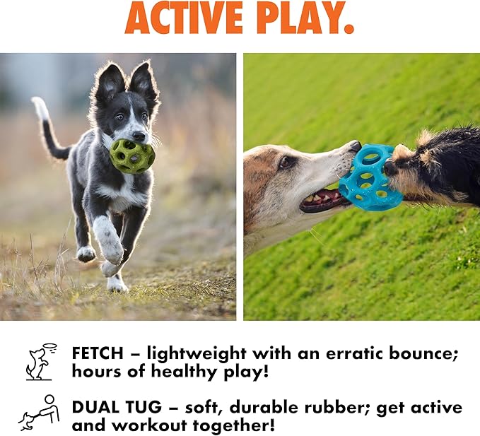 Max Fusion Made with Nike Grind, Arlee Helix Dog Toy, Ball Toys for for All Dogs, Durable & Natural Rubber Chew Toy for Play, Fetch & Chewing, Blue, Large, 1 Count