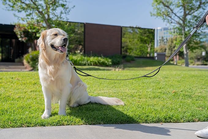 Shed Defender 5 ft. Dog Leash - Three Padded Traffic Handles - Designed in The USA - Dual Layered Thickness for Extra Strength - Reflective Stitching - Large & Small Breed - Training Lead (Pink)