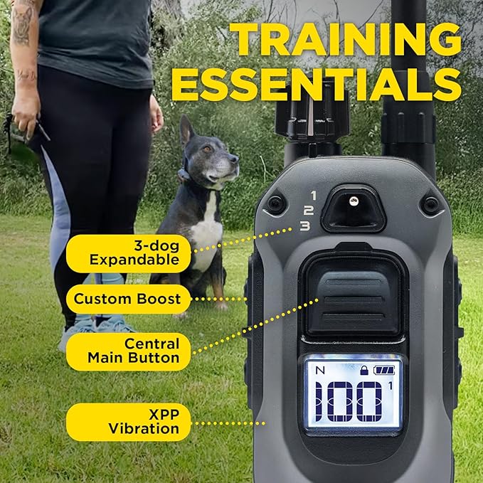 Dogtra 280X 2-Dog Remote Training E-Collar + X-Shield Plate (Champagne Gold) | Premium & Durable Build, 3-Dog Compatible, 1/2 Mile Range, Waterproof, 100 Levels, LED Light, Boost & Vibration, 10lbs+