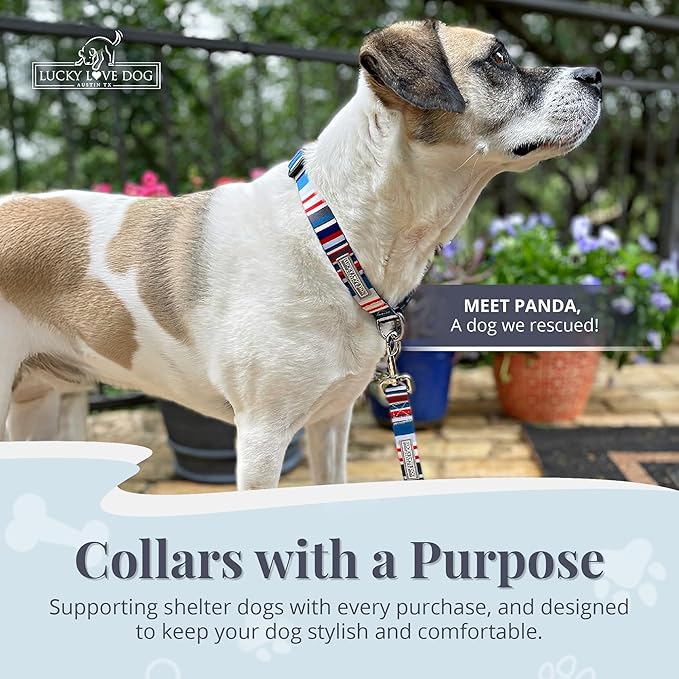 Lucky Love Dog - Adjustable Dog Collar with Easy Click Buckle for Medium Dogs, Durable, & Comfortable for Male & Female Dogs, Pet Collar for Puppies & Adult Ones - Linus, Medium