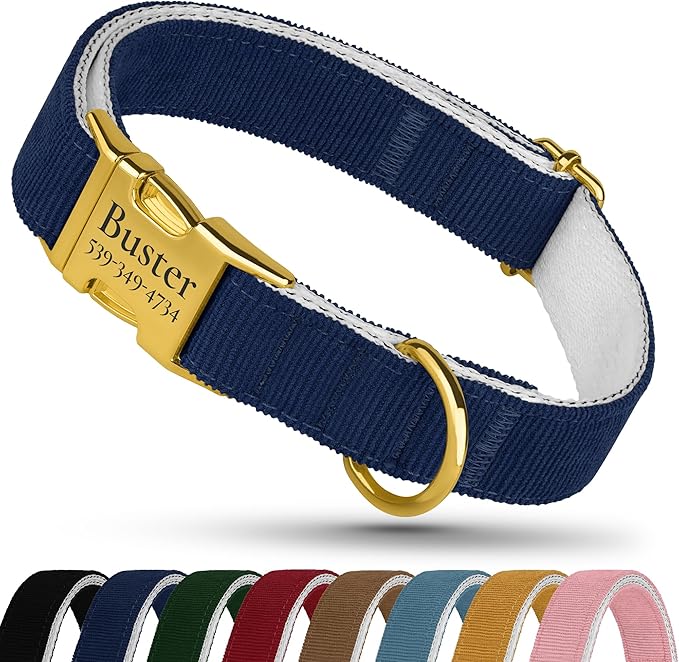 Personalized Dog Collar with Gold Metal Buckle, Velvet Custom Dog Collars for Small, Medium & Large Dogs – Puppy Collars with Metal Buckle, 4 Sizes, 8 Colors (Blue, M, 12"-15")