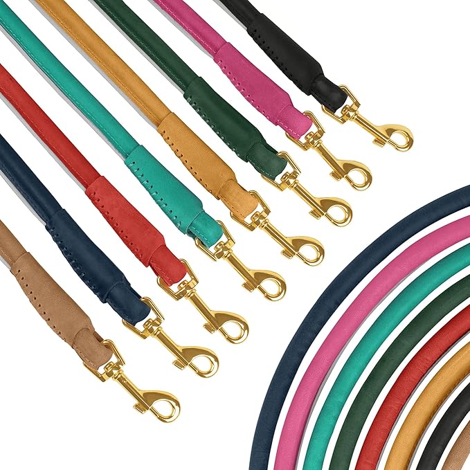 OOPSDOGGY Reflective Rolled Leather Dog Leash 6ft - Soft Training Lead for Small Medium Large Dogs Puppy - Heavy Duty Rope Puppies Leashes for Outdoor Walking Running (Blue, Medium/Large)