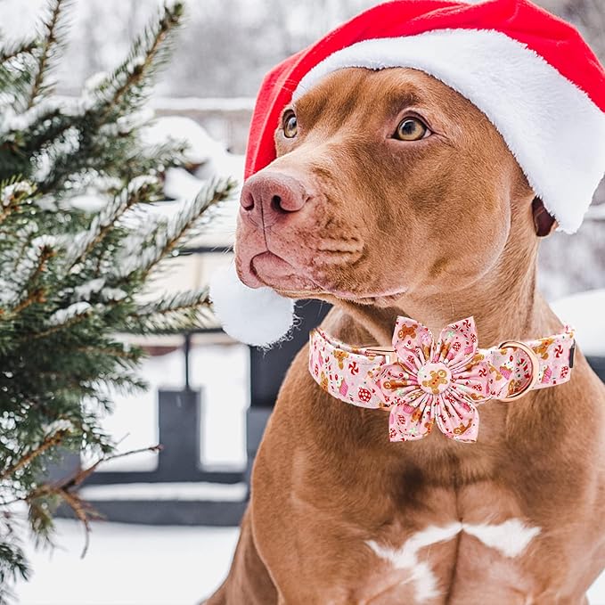 Elegant Little Tail Flower Dog Collar - Adjustable Plaid Christmas Collar for X-Small Puppy