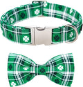 Lionet Paws St Patricks Day Dog Collar with Bowtie, Irish Green Shamrock Clover Bowtie Collar with Metal Buckle for Dog Girl Boy, M, Neck 13.5-22 in