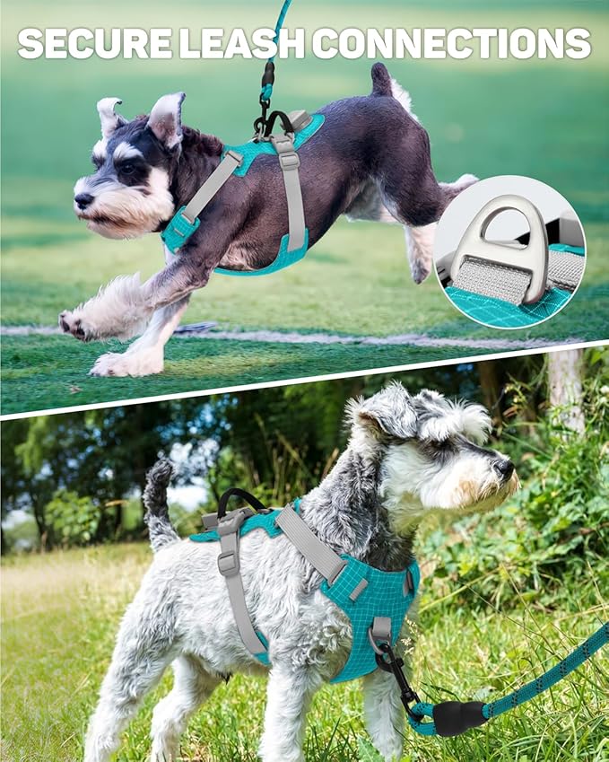 TagME No Pull Dog Harness with 2 Leash Clips,Lightweight & Visible for All-Day Walking,No Choke Pet Vest Includes AirTag Holder for Small Dogs,Teal