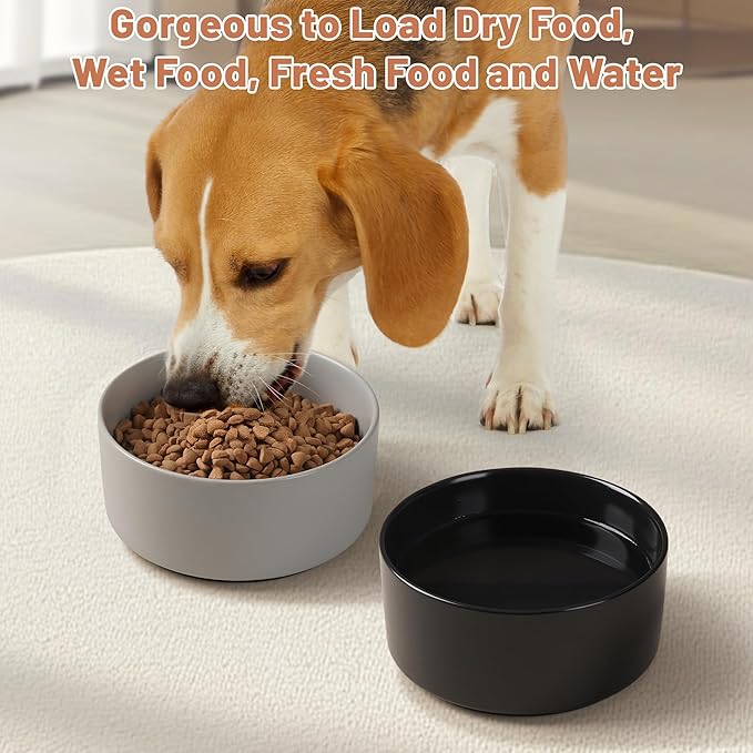 Ceramic Dog Bowls, Non Slip Dog Food and Water Bowl with Silicone Base, Heavy Duty Feeding Bowl for Small and Medium Dogs (Grey, 6 Inches)