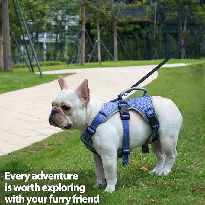 Huntboo Escape Proof Dog Harness, Escape Artist Harness, Reflective Dog Harness with Handle, Durable,Adjustable Vest for Small Medium Large Dogs Walking, Training, and Running Gear(Technicolor Blue,L)