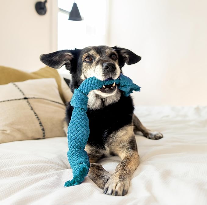 Playology Dog Toys | Dri-Tech Dental Rope Toy for Dogs - Gentle on Teeth | Jumbo Peanut Butter Scented Toy - Easy to Clean and Made from Non Toxic Materials
