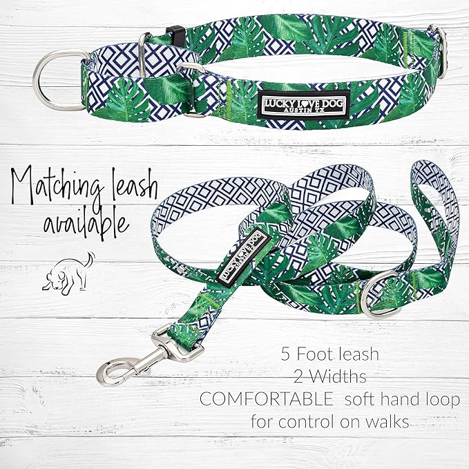 Lucky Love Dog Martingale Collar and Leash Set, Premium No Slip Martingale Collar for Medium Boy Dogs, Great for Whippets, Greyhounds, and More (Medium, Blue Laguna - Combo)