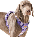 Adjustable Extra Large Dog Vest Harness No-Pull Easy Walking, Cute Pet Harness with Tribal Pattern Breathable Oxford Material 2 Leash Clips and 3 Buckles, German Shepherd, Rottweiler, XL Size