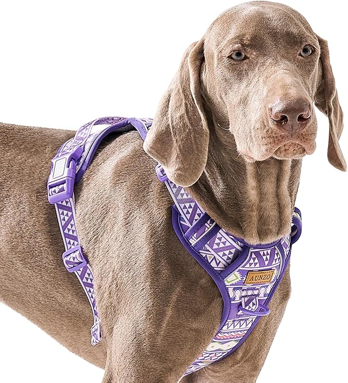 No Pull Dog Harness with 2 Metal D-Rings, Easy on/Off Dog Vest with Neck Buckle, No Need Over Head, Easy Walk Escapeproof No Choke Reflective Breathable, Harness for Large Dogs