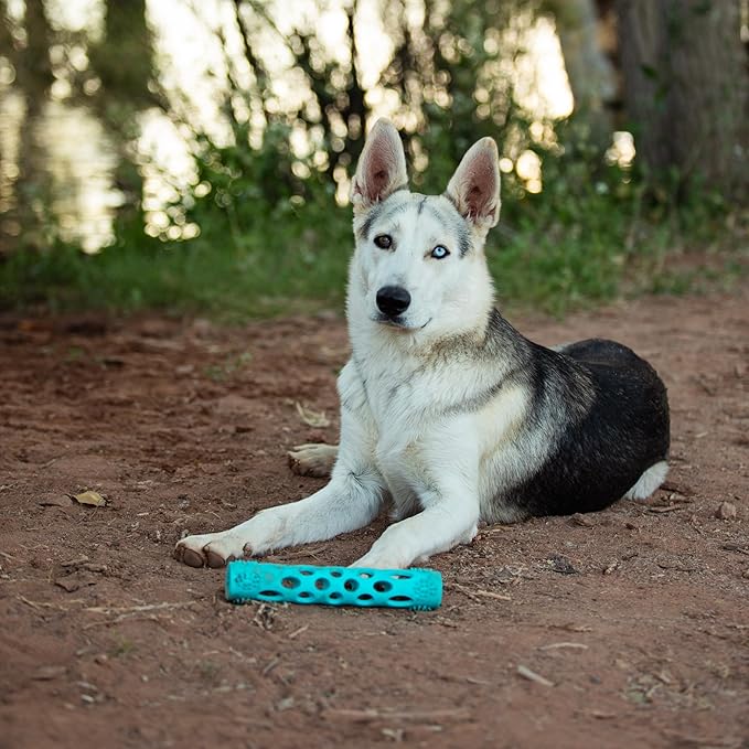 Messy Mutts Totally Pooched Huff'n Puff Stick | 10” x 2” TPR Puzzle Stick for Dogs | 2-in-1 Interactive Toy and Tooth Cleaner | Teal