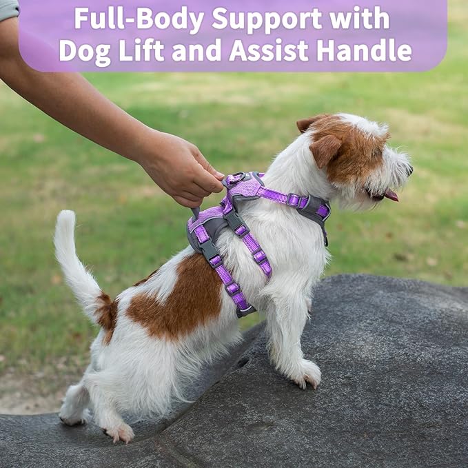 Huntboo Reflective Dog Harness with Handle, Escape Proof, No Slip,Breathable, Lightweight,Adjustable Lift Harness for Small,Medium,and Large Dogs Walking, Training,and Running Gear(Lavender Purple,XS)