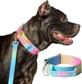 Tactical Dog Collar with Handle - Premium Quality Collar, Robust and Durable Design for Large, Strong Breeds - Pitbulls, Labradors, GSD - Pastel Icing - L - 1.5"