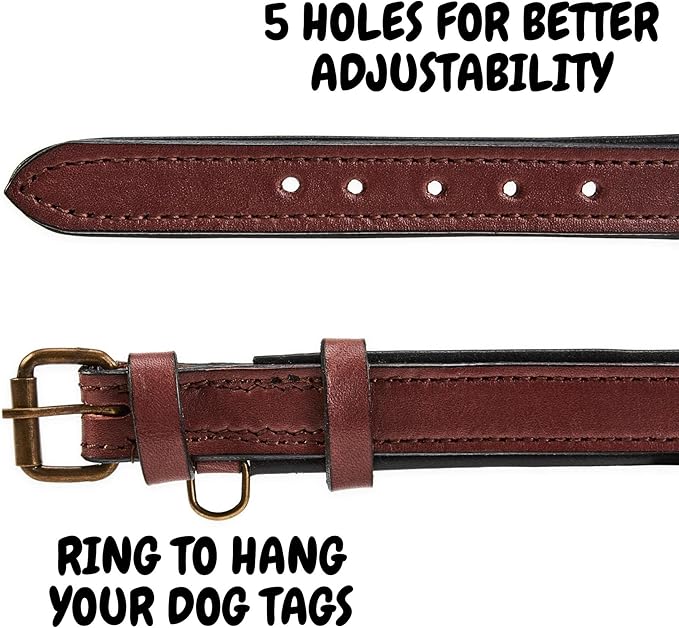 Real Leather Dog Collar Padded Soft Interiors with Premium Vintage Look Handcrafted Heavy Duty with Tag Ring for Small Medium and Large Pets (Small (1" Wide for 10.75" - 13.75" Neck), Oxblood)