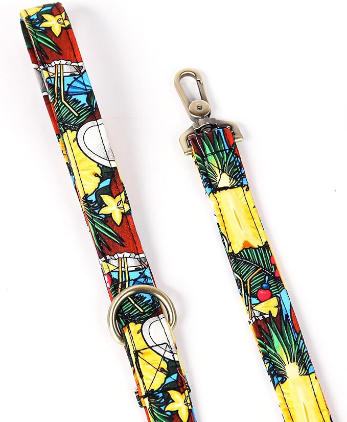 Organic Cotton Dog Leash for Small,Medium and Large Breed,Brass Hardware Pet Leash for Walking,Running and Training 6FT