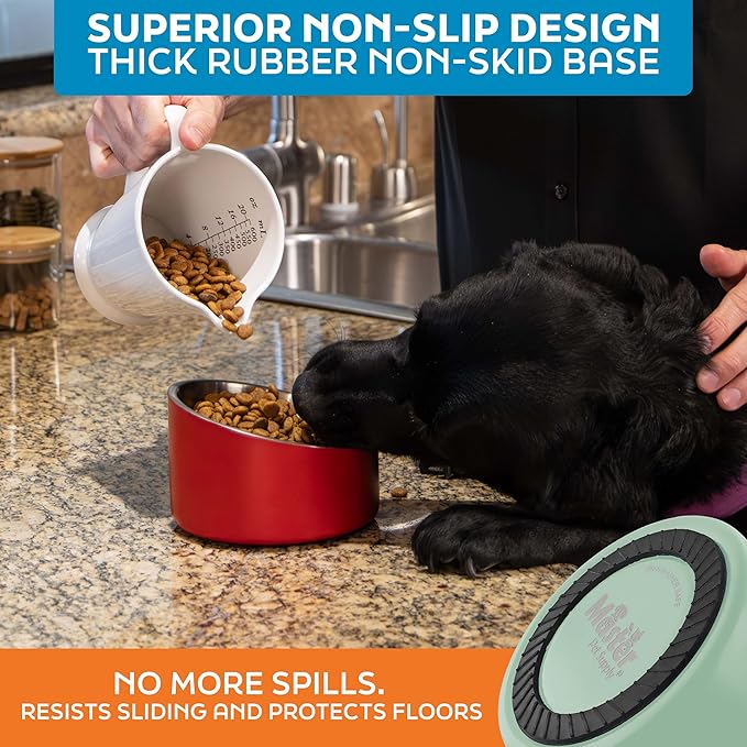 Master Pet Supply Stainless Steel Slanted Dog Cat Food Bowl - 16 oz Heavy Duty - Pistachio, Double Wall Insulated, Non-Slip Elevated Bowl for French Bulldogs Pugs Cats, Anti Rust Dishwasher Safe