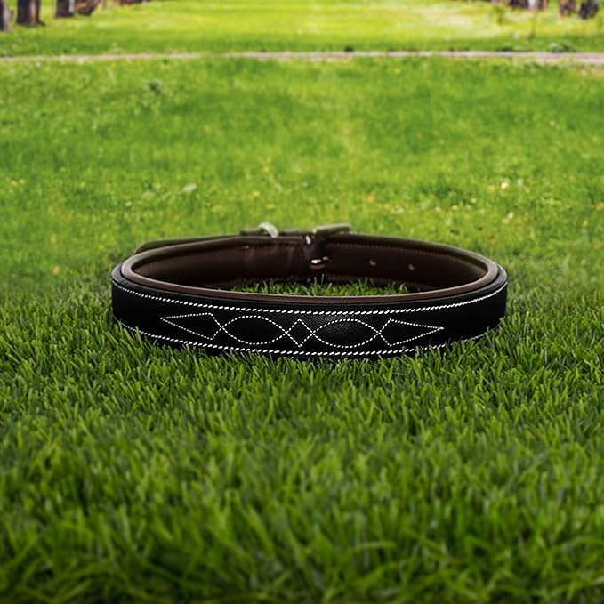 Exion Geniun Leather Dog Collar Designer Stitched Soft Leather Padded- Suitable for Small Medium Large X-Large Dogs for Walking Running- Black with Havana Padding
