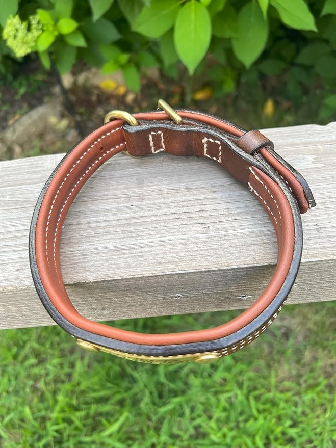 Leaders Leather Dog Collar with Customized Name Plate (Large (17"-21"))