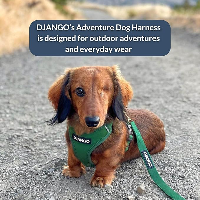 DJANGO Adventure Dog Harness - Stylish and Durable Medium Dog Harness for Outdoor Adventures and Everyday Wear - Forest Green Neoprene Adjustable Harness for Dogs with Reflective Piping, Brass D-Ring