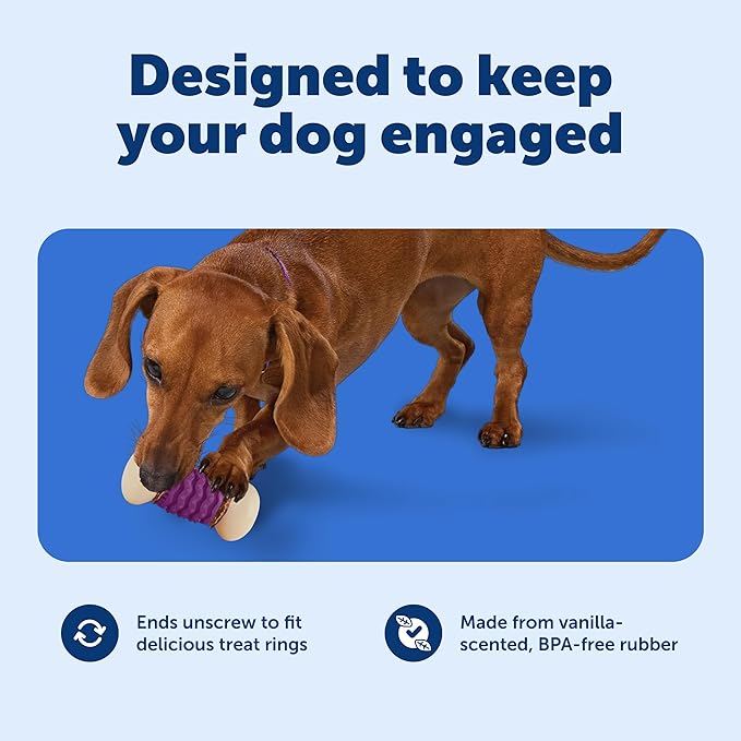 PetSafe Busy Buddy Nobbly Nubbly Treat Holding Dog Toy - Boredom Relief for Strong Chewers - Durable Nylon Build - Dishwasher Safe Design - Includes Treat Rings - Engaging Pet Puzzle - Purple - Small