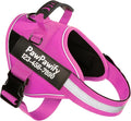 PawPawify Personalized No Pull Dog Harness with 2 Custom Name & Phone Patches, Reflective Breathable Pet Vest for Walking Training, Adjustable Heavy Duty Service Dog Vest for Small Medium Large Dogs