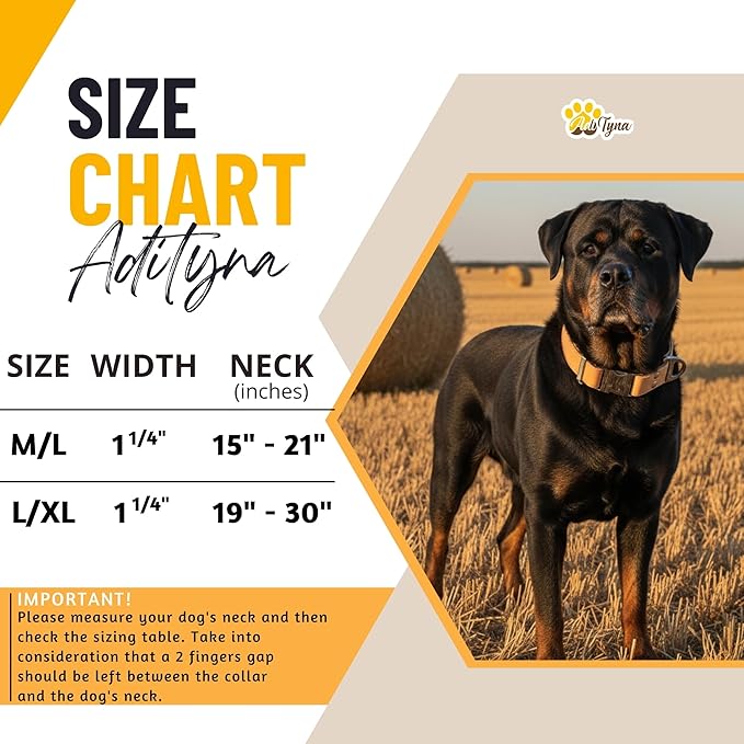 ADITYNA Leather Dog Collar with Metal Buckle - Heavy-Duty, Adjustable for Large & Extra Large Dogs - Walking & Training (CamelBrown, Fits 19-30" Necks)