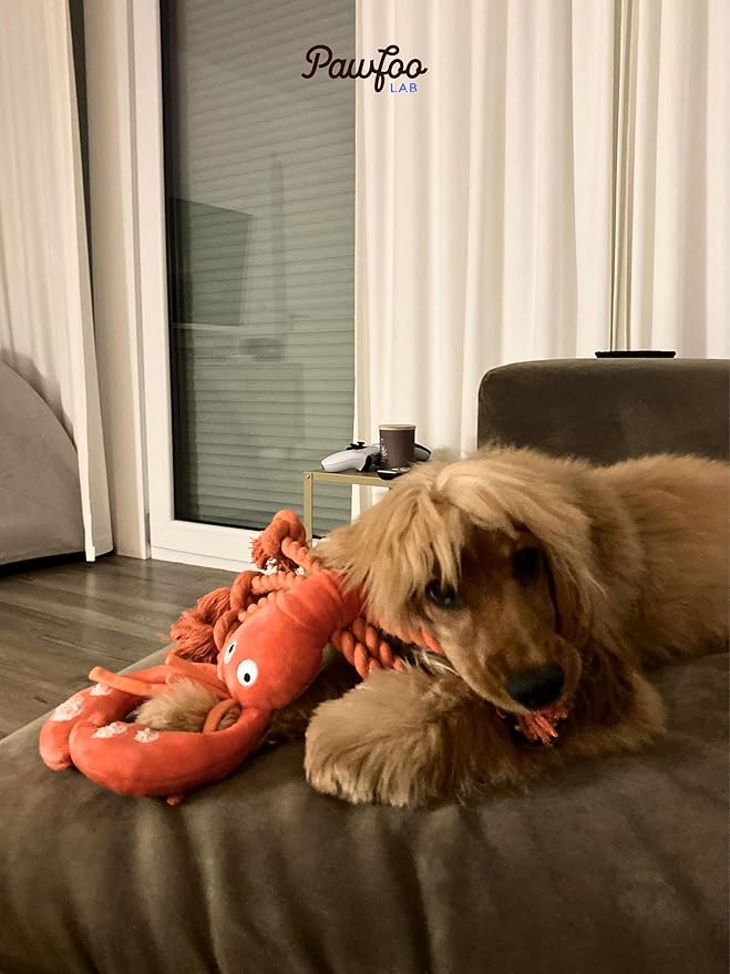 Large Squeaky Dog Toys, Rope Tug of War Dog Toys for Puppy, Small, Medium, Large Dogs, Interactive Stuffed Lobster Plush Toys