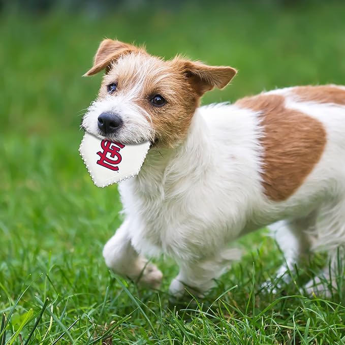 Pets First MLB ST Louis Cardinals Hard-Nylon Baseball Home Plate Dog Chew Toy, Interactive and Fun Dog CHEW Toy, Bacon Flavored, Strong Durable Chew Toy for Pets