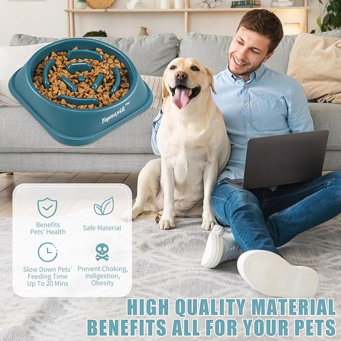 Slow Feeder Dog Bowls for Healthy Eating, Non-Slip and Anti-Choking Design, Reduces Bloating & Overeating for Large Dogs, Easy to Clean