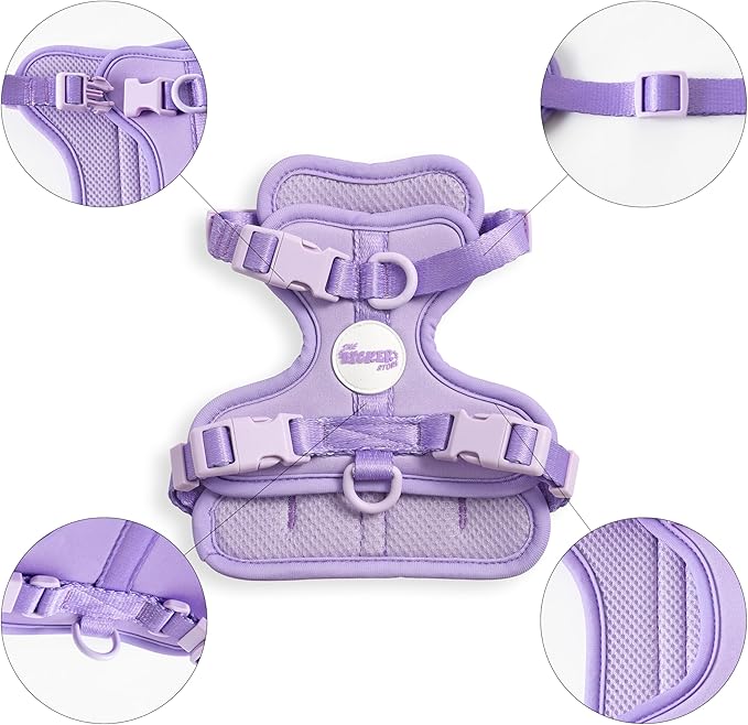 HNS1000H Arlo Extra Small Adjustable Soft Padded No Pull Pet Harness with 3 Buckles and 3 Leash Clips, Bramble