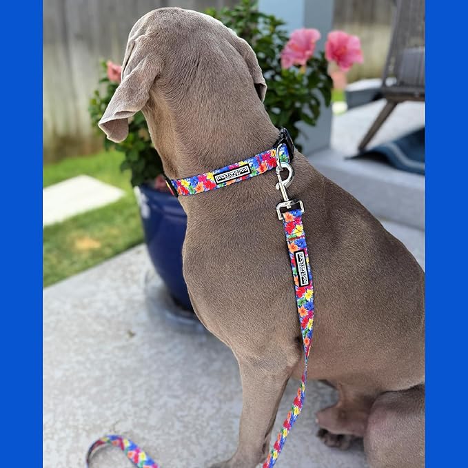 Lucky Love Dog - Easy Click Buckle Dog Collar with Leash Set Combo, Durable & Comfortable for Male & Female Dogs, Pet Collar for Large Dogs, Secure Fit - Hana Combo, Large