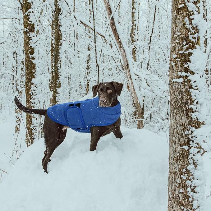 Queenmore XXL Dog Sweater, Soft Fleece Vest Pullover Jacket with Leash Hole, Warm Winter Coats for Cold Weather - Dachshund & Cat Sizes - Boy & Girl (Blue, XXL)
