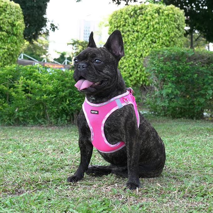 AMTOR Small Dog Harness with Leash Set, No Escape Easy Walk Puppy Harnesses for Training Walking, Step-in Reflective Soft Dogs Vest for XS S Medium Extra-Small Large Sized Dog(Fuchsia,S)