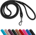 OOPSDOGGY Rolled Leather Dog Lead 6ft Heavy Duty Training Leash for Small Medium Large Dogs & Puppy Black Brown Red (Black, Small)