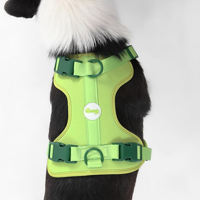 HNS1003B Arlo Large Adjustable Soft Padded No Pull Pet Harness with 3 Buckles and 3 Leash Clips, Mojito