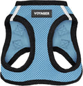 Best Pet Supplies Voyager Step-in Air Harness - All Weather Mesh, Reflective, No Pull Harness for Dogs, Cats - Secure with Hook & Loop Fastener, Buckle, Double D-Rings - Baby Blue/Black Trim, M