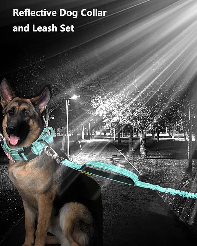 AUBELL Tactical Dog Collar and Leash Set, Reflective Adjustable Heavy Duty Military K9 Collars with Handle and Metal Buckle for Medium Dogs, with Airtag Case and 2 Patches(Teal,M)