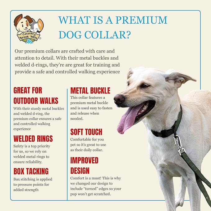 Country Brook Petz - Premium Nylon Dog Collar with Metal Buckle for Small Medium Large Breeds - 10+ Cool Colors (Small, 3/4 Inch, Dark Olive Drab)