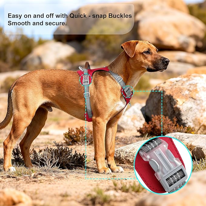 No Pull Dog Harness – Adjustable Reflective Nylon Vest for Small Medium Large Dogs, Escape Proof Training Harness with Leather Control Handle, Lightweight Aluminum Hardware (Red, S)