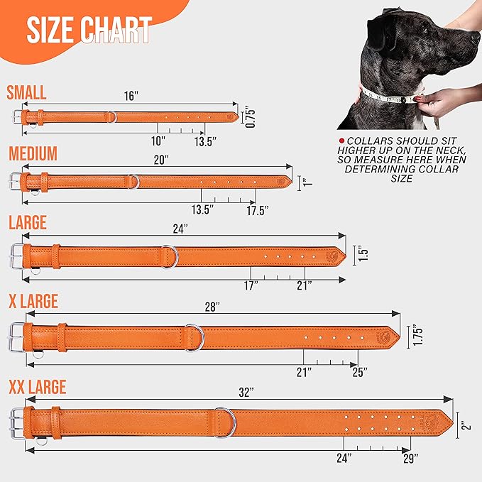 Riparo Extra Wide Leather Dog Collar - Heavy Duty Wide Dog Collar for Small, Medium, Large and Extra Large Dogs with Dog Tag Holder (XXL: 2” Wide for 24”-29” Neck, Orange)