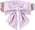 Lionet Paws Spring Dog Collar with Sailor Bow, Soft Comfortable Adjustable Cute Daisy Collar for X-Large Dogs, Neck 16-26 inches